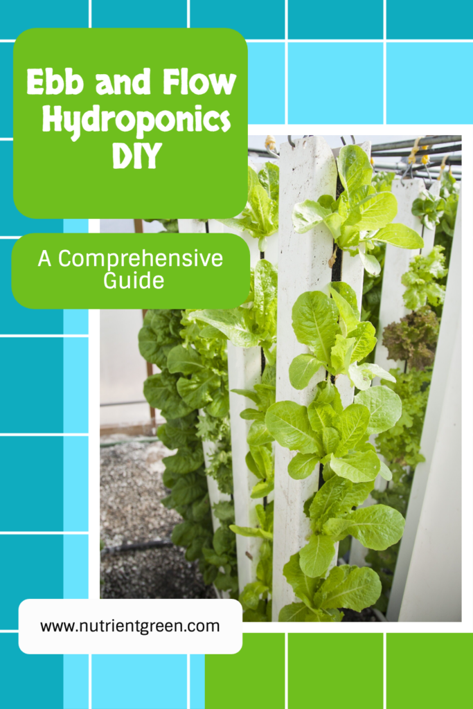 Ebb and Flow Hydroponics DIY: A Comprehensive Guide 2023