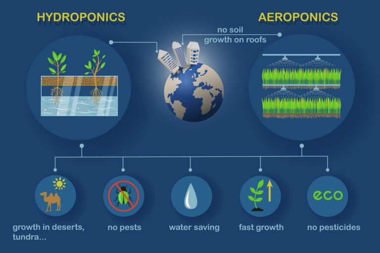 aquaponics vs hydroponics
