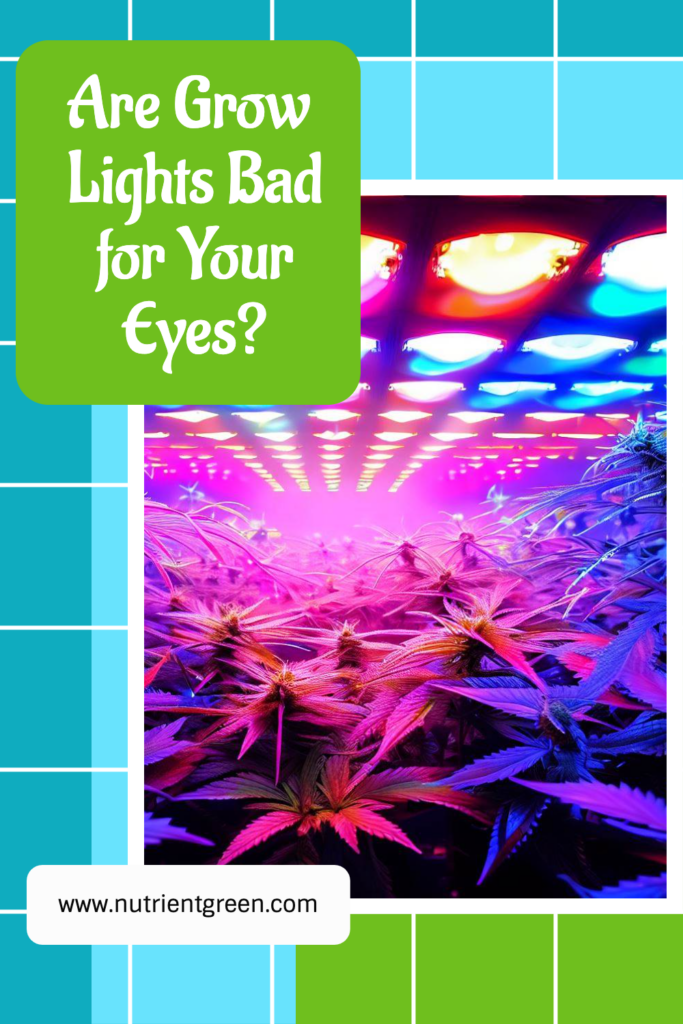 Are Grow Lights Bad for Your Eyes?