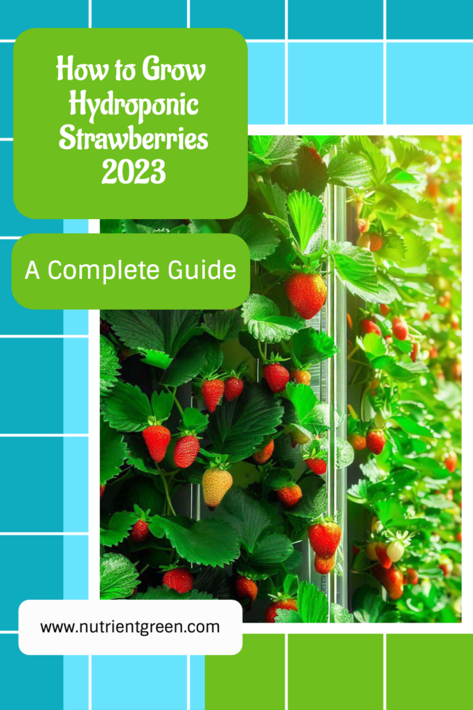 How to Grow Hydroponic Strawberries 2023: A Complete Guide