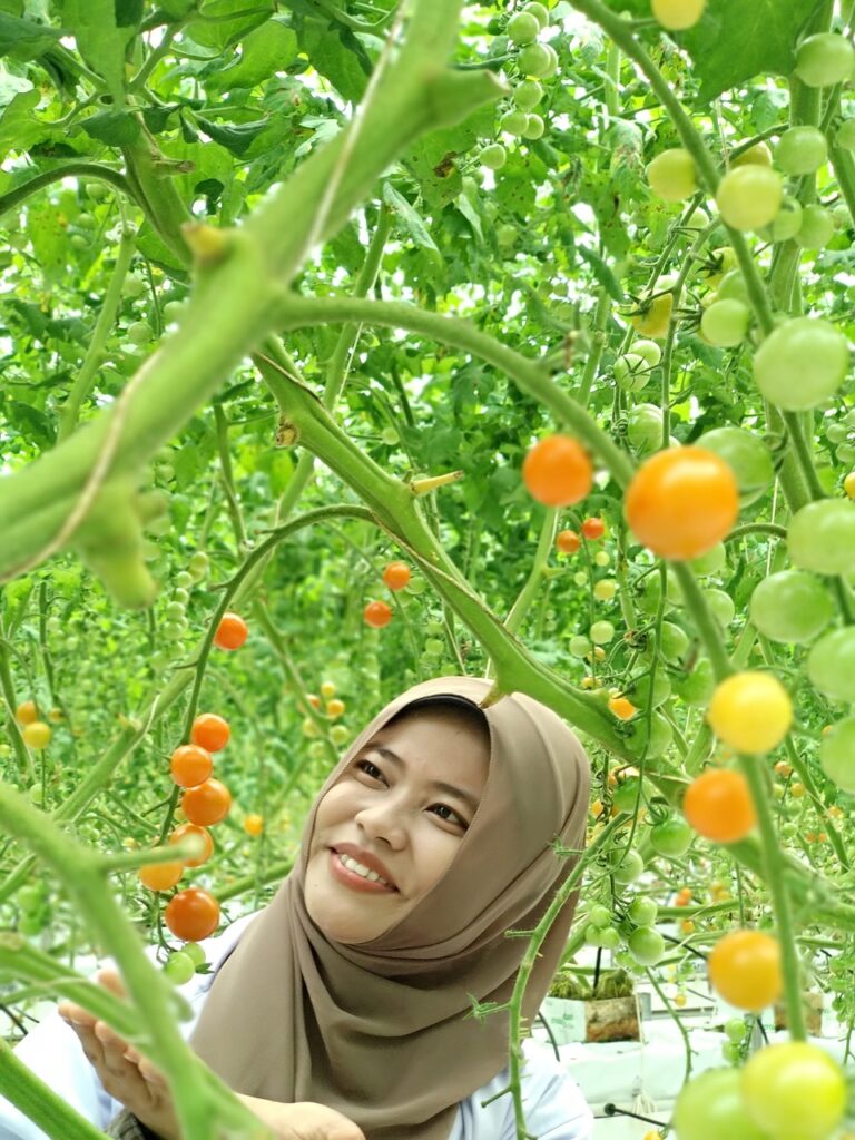 Woman with Hydroponic Tomatoes