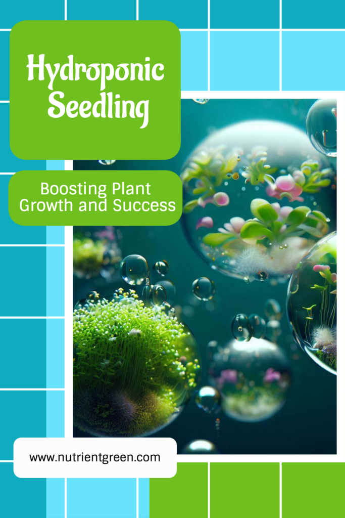 Hydroponic Seedling: Boosting Plant Growth and Success