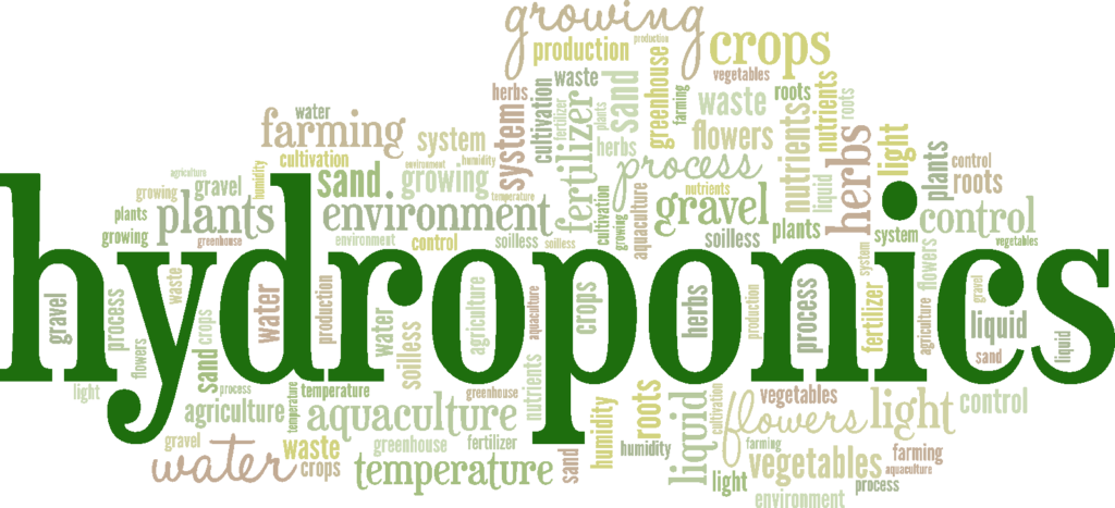 hydroponics wordcloud