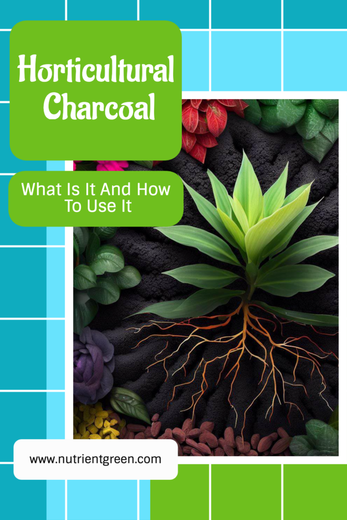 Horticultural Charcoal: What Is It And How To Use It