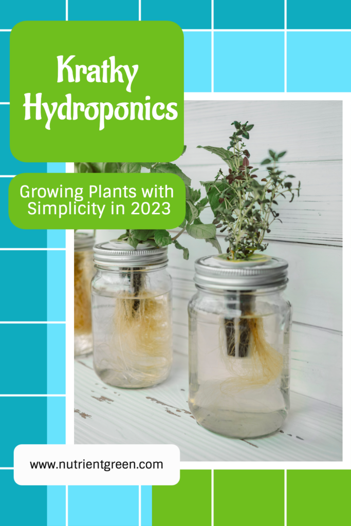 Kratky Hydroponics: Growing Plants with Simplicity in 2023