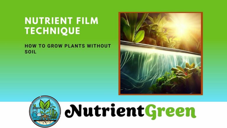 NutrientGreen.com - Nutrient Film Technique: How to Grow Plants Without Soil