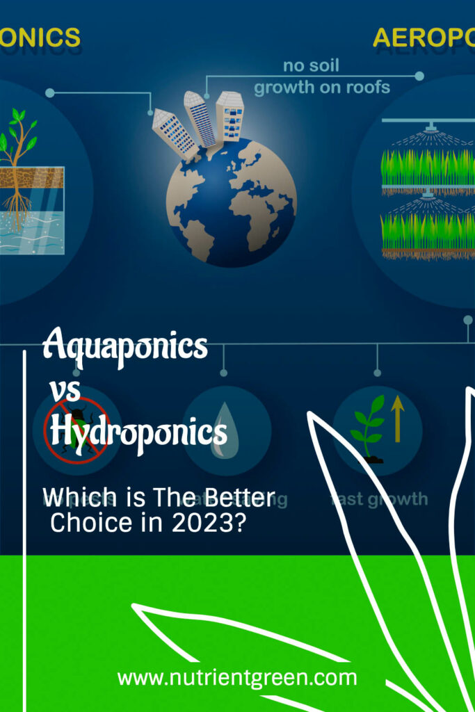 Aquaponics vs Hydroponics: Which is The Better Choice 2023?