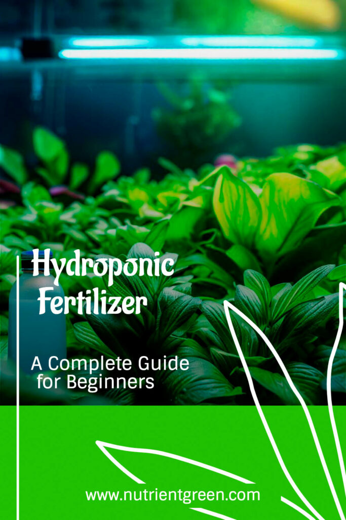 Hydroponic Fertilizer: A Complete Guide for Beginners