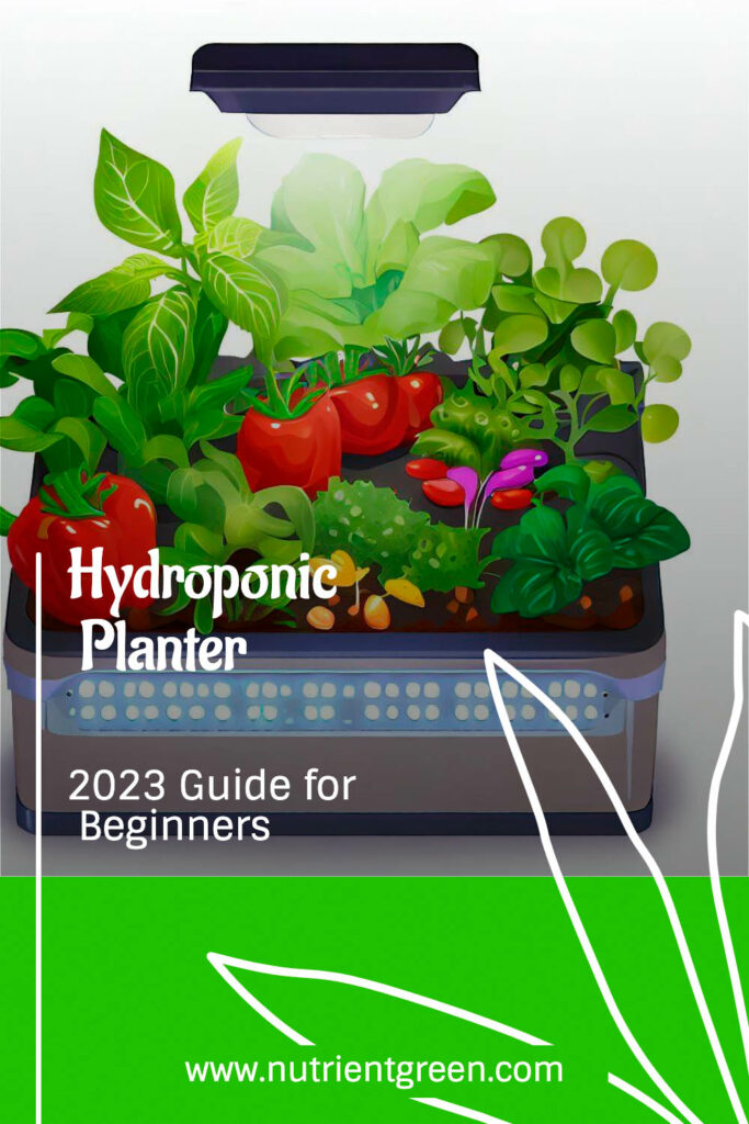 Hydroponic Planter: 2023 Guide for Beginners