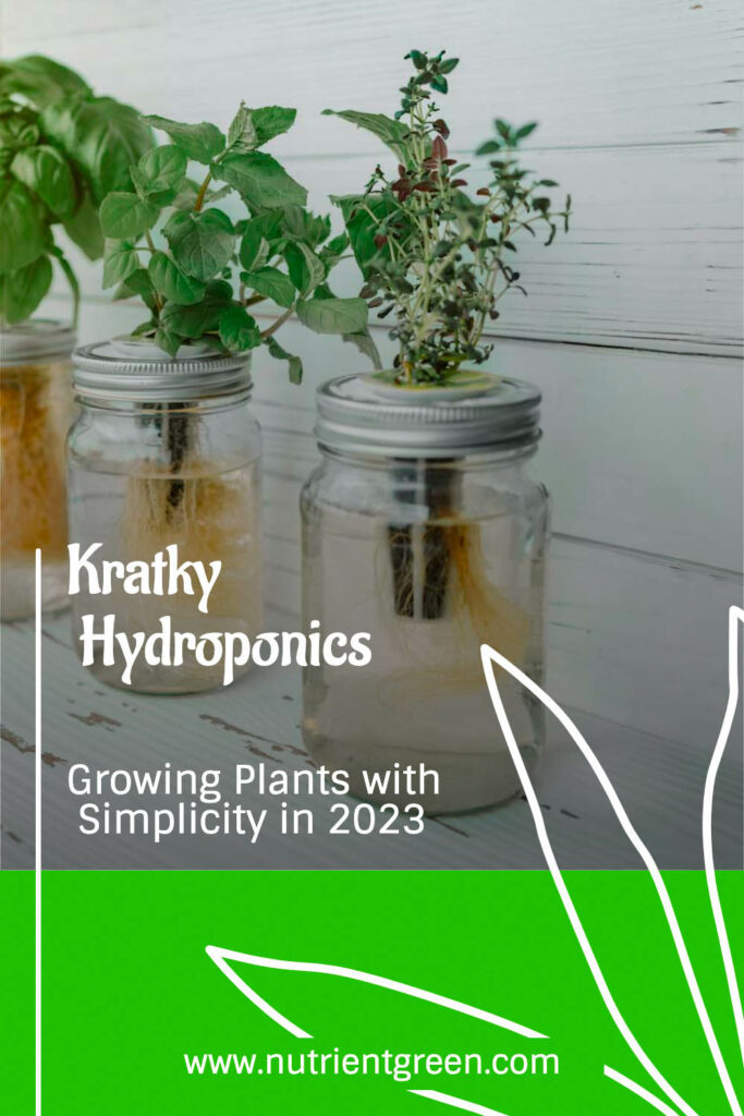 Kratky Hydroponics: Growing Plants with Simplicity in 2023