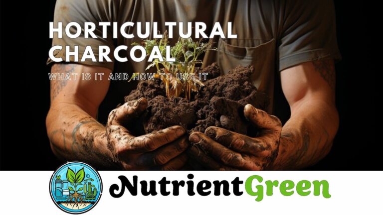 Horticultural Charcoal - What Is It And How To Use It
