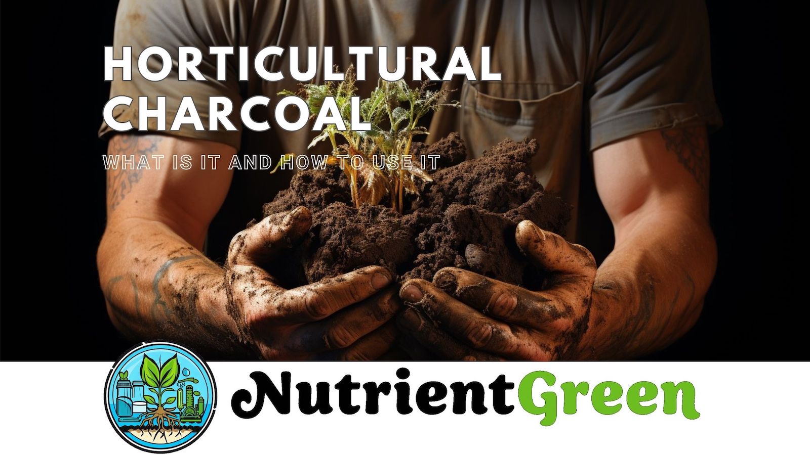 Harris Horticultural Charcoal, Premium Biochar Soil Amendment for Plants  and Terrariums, 2qt