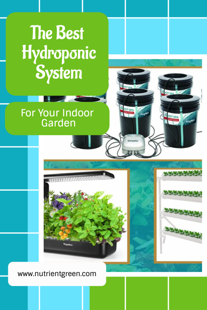 The Best Hydroponic System for Your Indoor Garden