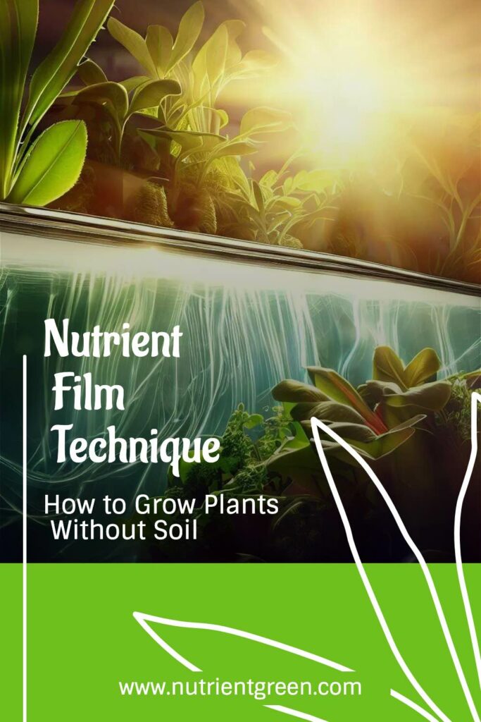 Nutrient Film Technique: How to Grow Plants Without Soil