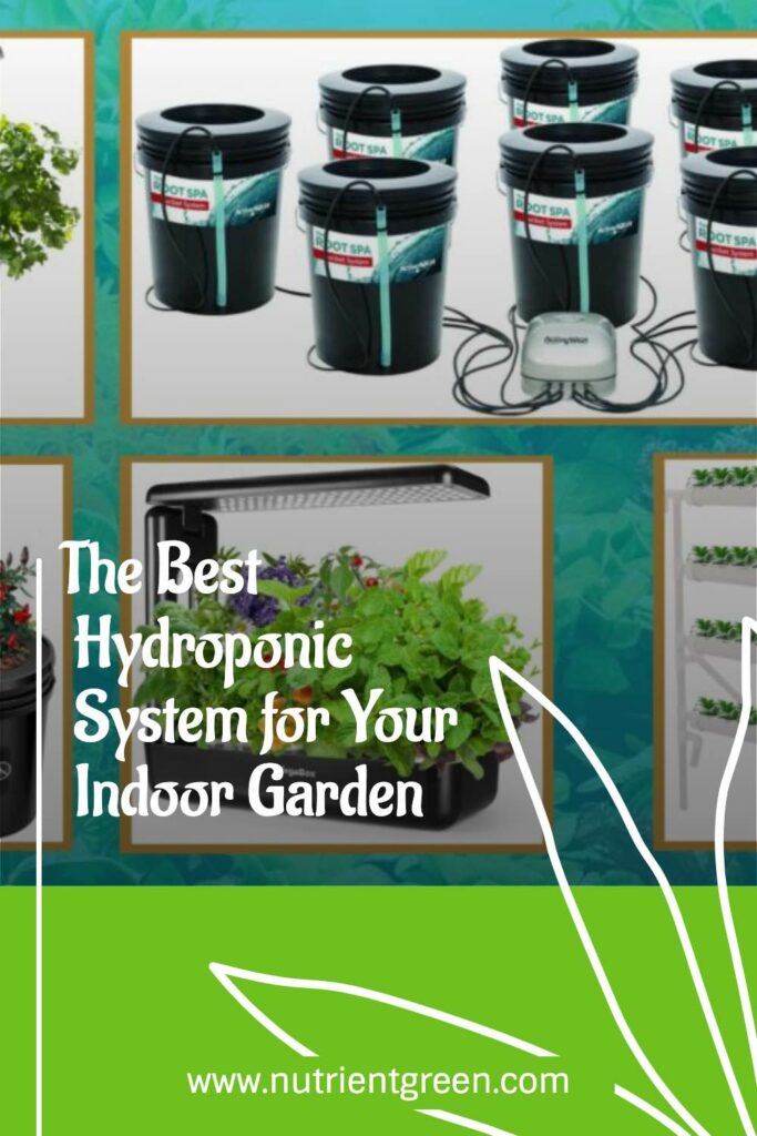 The Best Hydroponic System for Your Indoor Garden