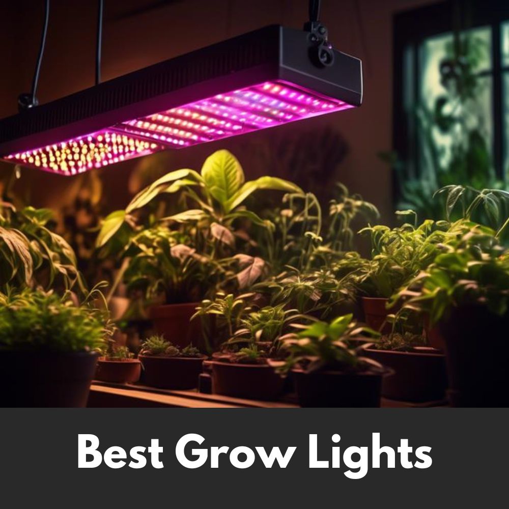 Best Grow Lights