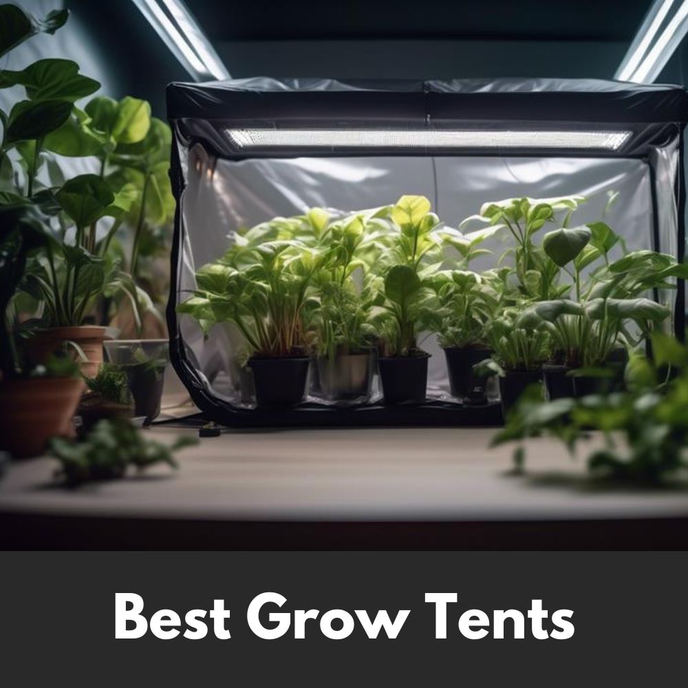 Best Grow Tents