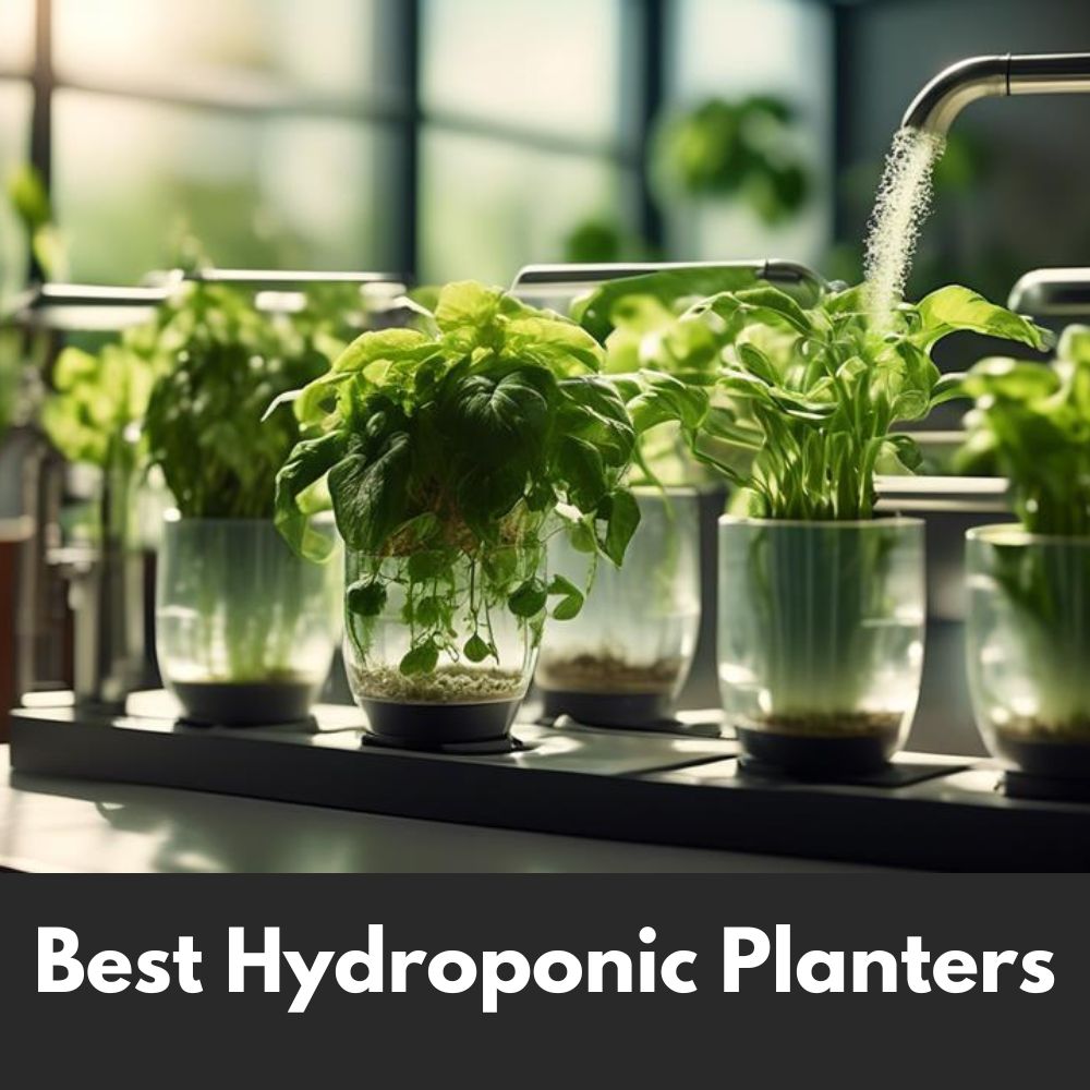 Best Hydroponic Planters