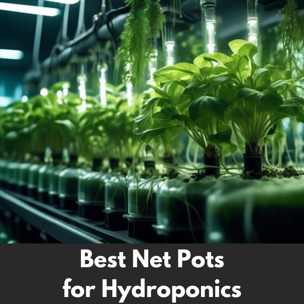 Best Net Pots for Hydroponics